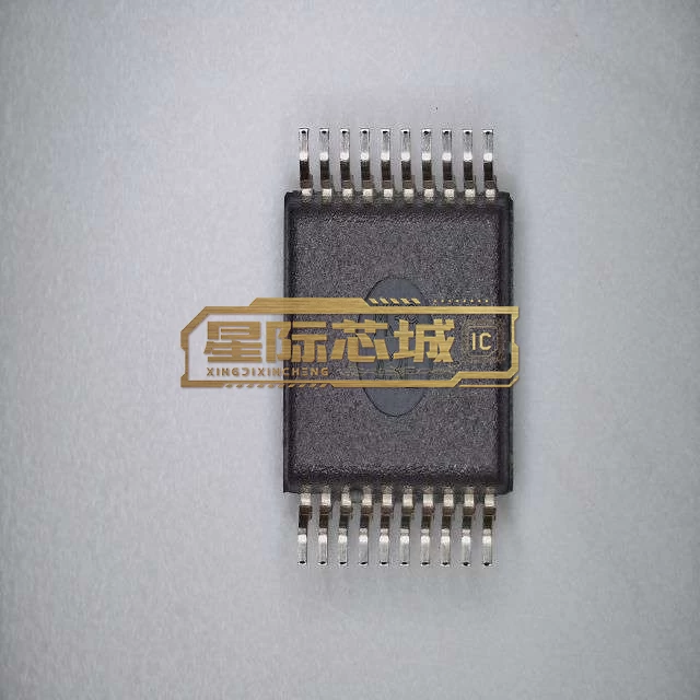 ADS1255IDBR
