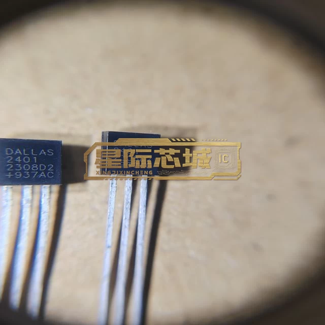 DS2401+